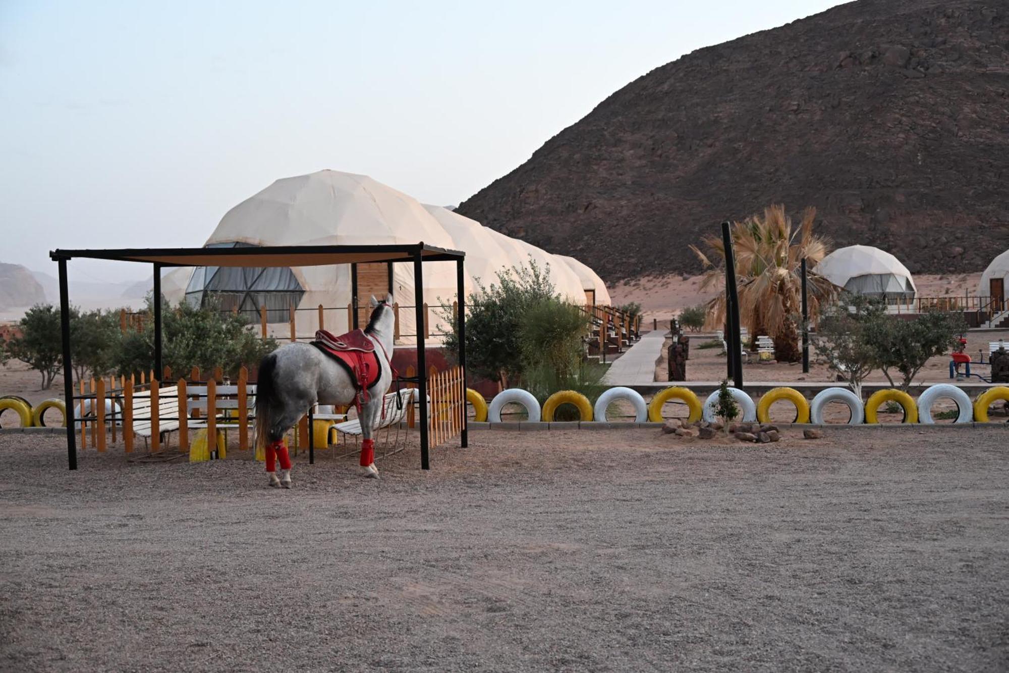 Bilal Luxury Camp Hotel Wadi Rum Bagian luar foto